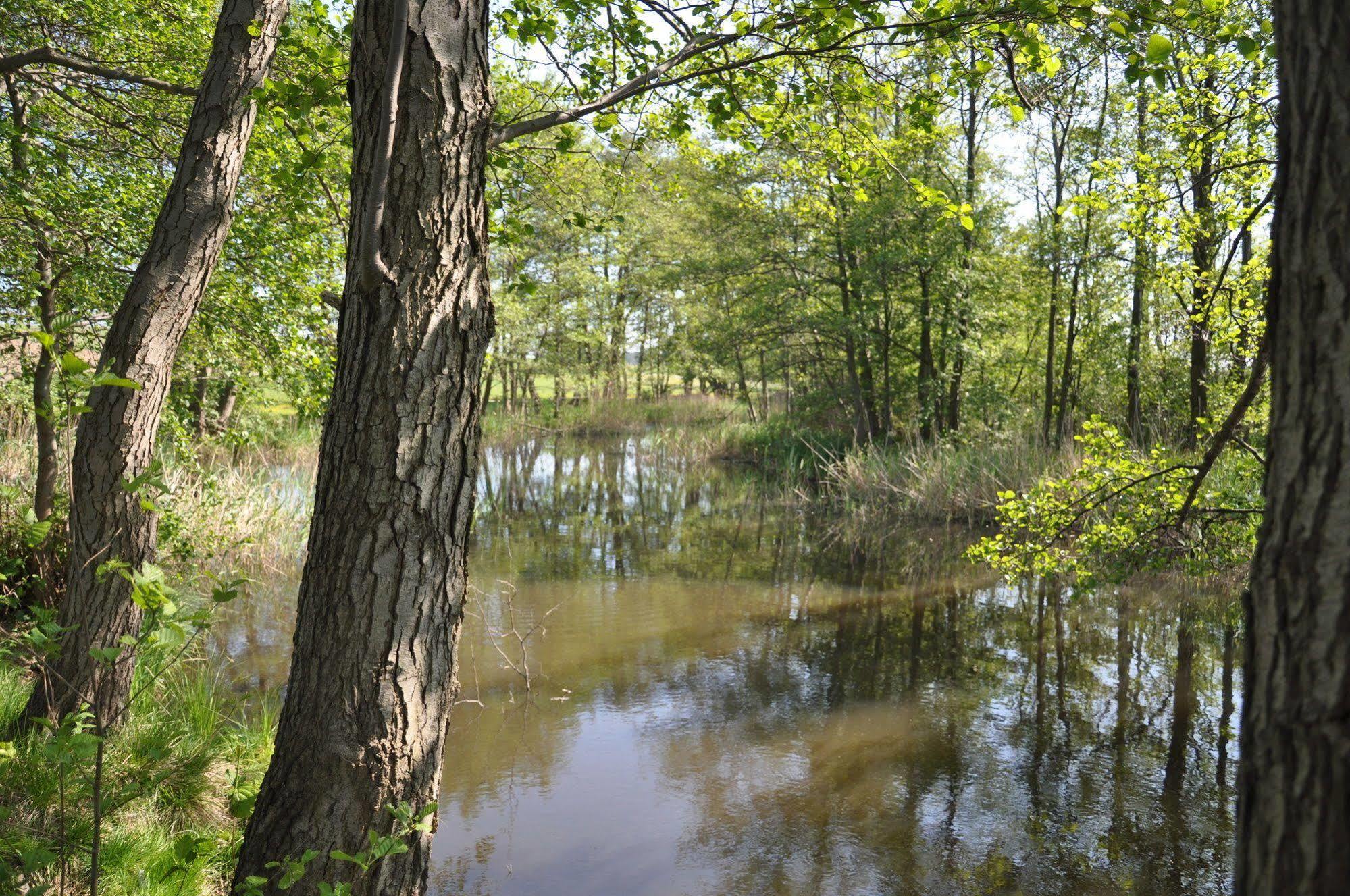 Hotel Am Gothensee Heringsdorf  Kültér fotó